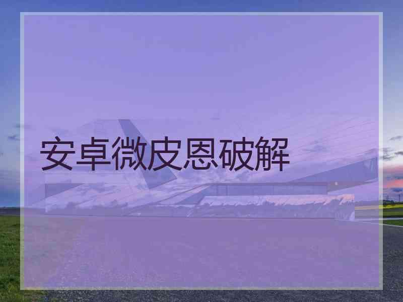 安卓微皮恩破解