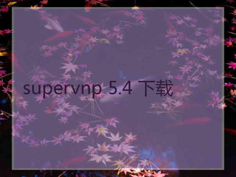 supervnp 5.4 下载