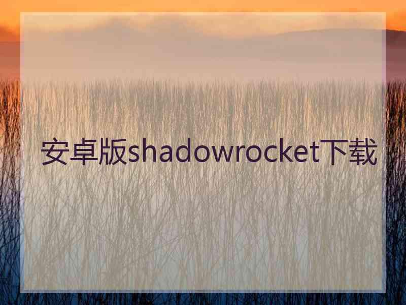 安卓版shadowrocket下载