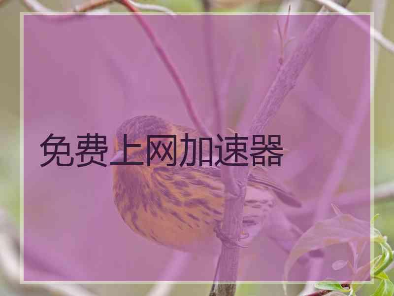 免费上网加速器