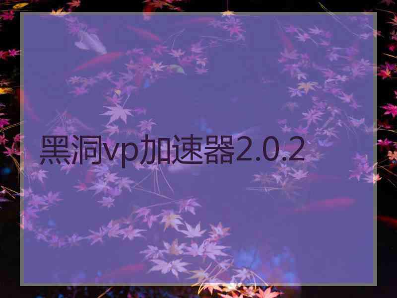黑洞vp加速器2.0.2