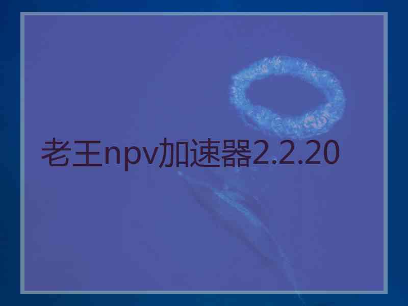 老王npv加速器2.2.20
