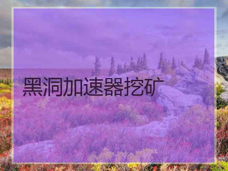 黑洞加速器挖矿