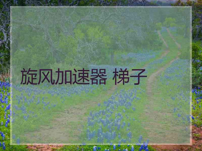 旋风加速器 梯子