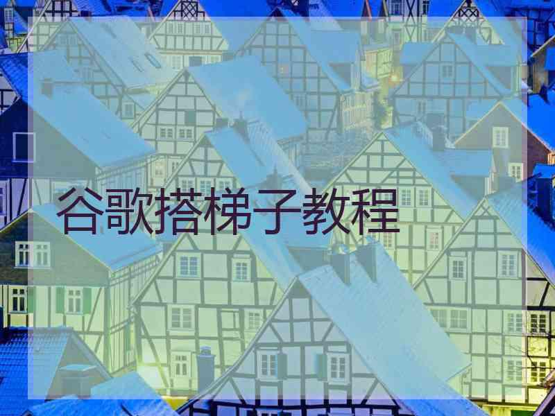 谷歌搭梯子教程