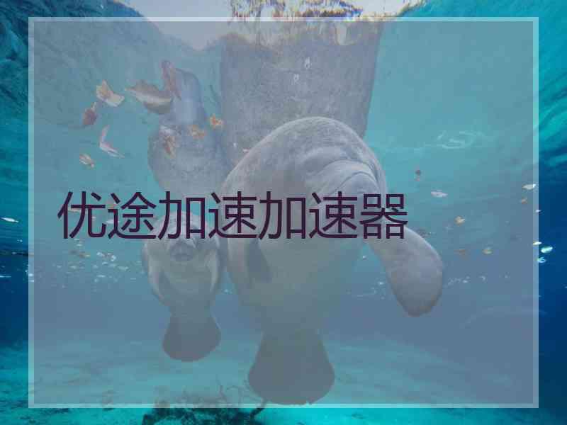 优途加速加速器