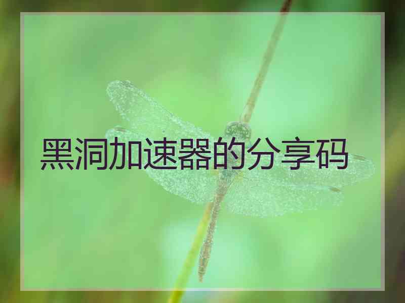 黑洞加速器的分享码