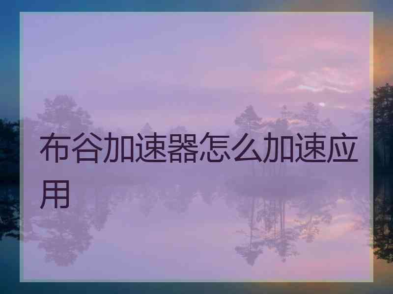 布谷加速器怎么加速应用