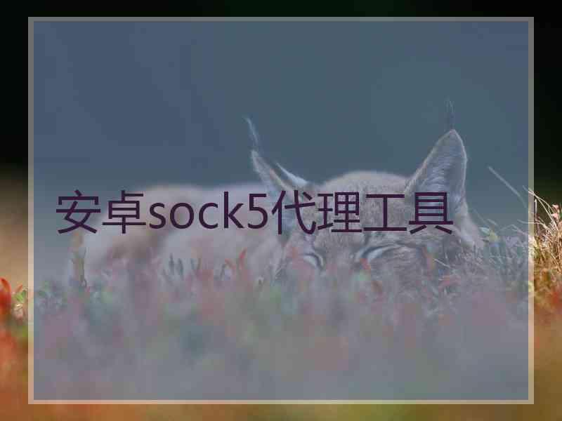 安卓sock5代理工具