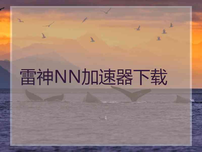 雷神NN加速器下载