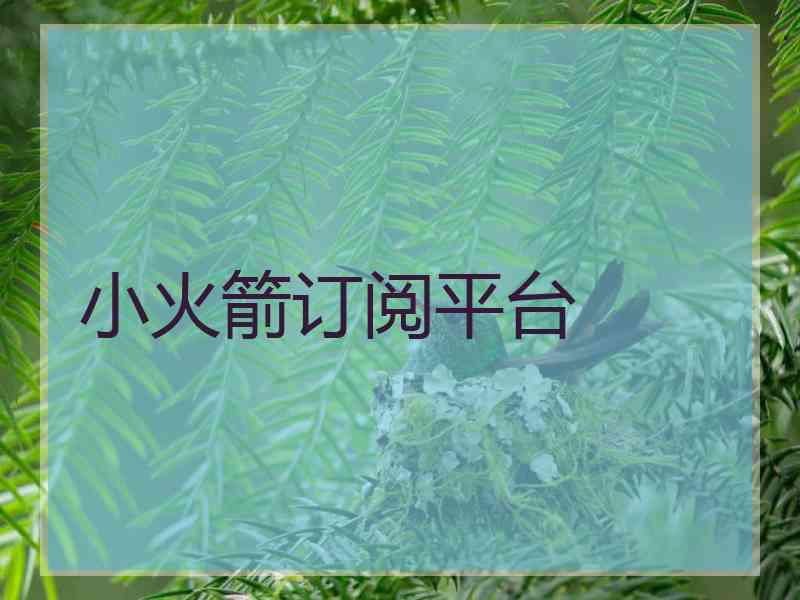 小火箭订阅平台
