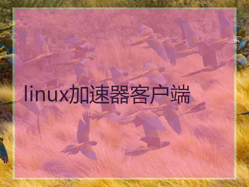 linux加速器客户端