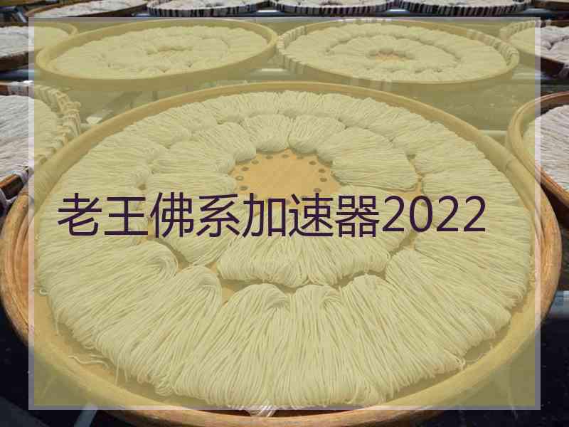 老王佛系加速器2022