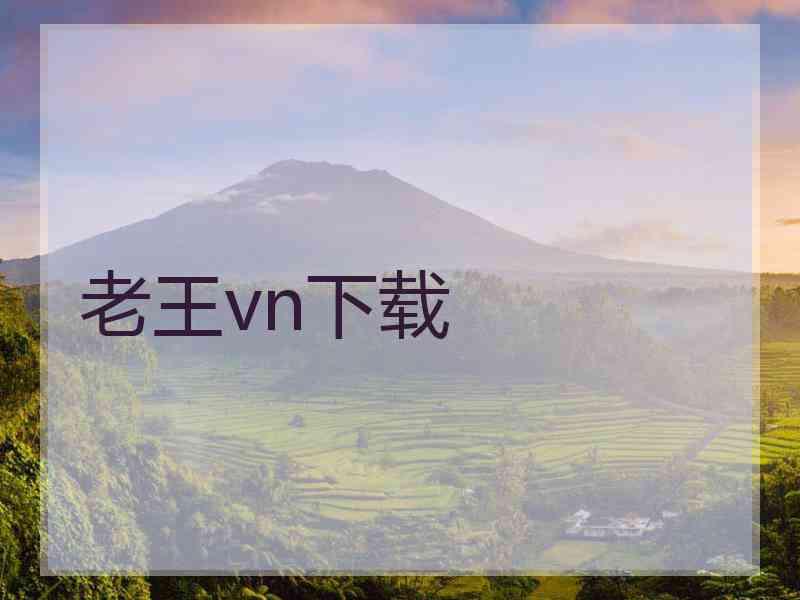 老王vn下载