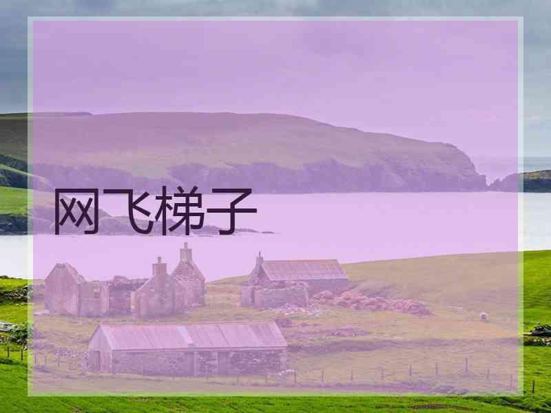 网飞梯子