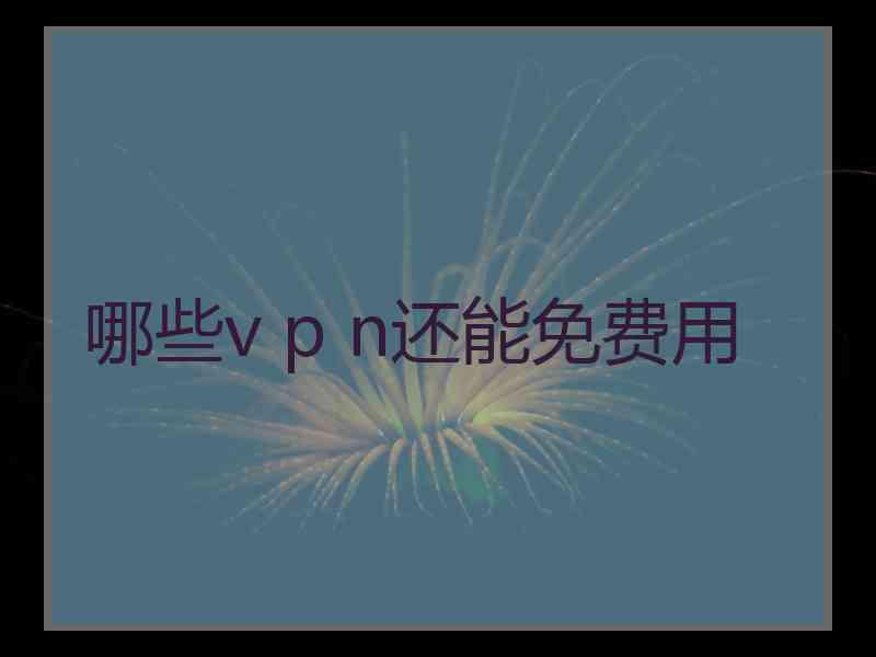 哪些v p n还能免费用