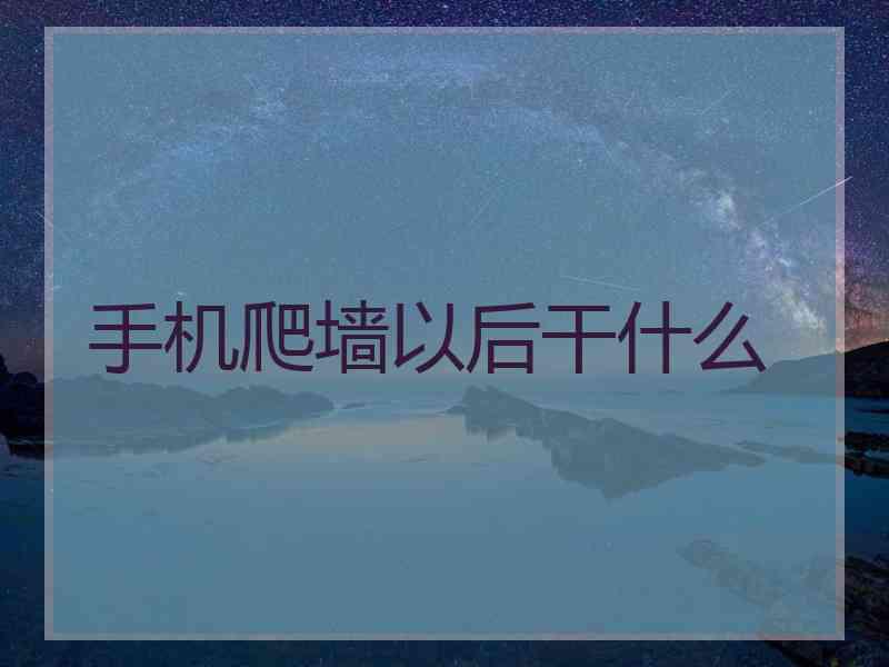 手机爬墙以后干什么