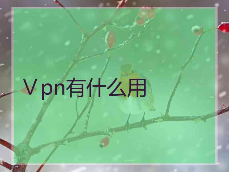 Ⅴpn有什么用