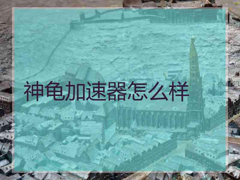 神龟加速器怎么样
