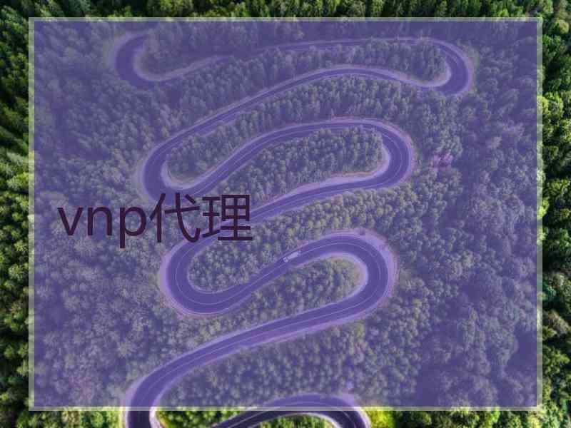 vnp代理