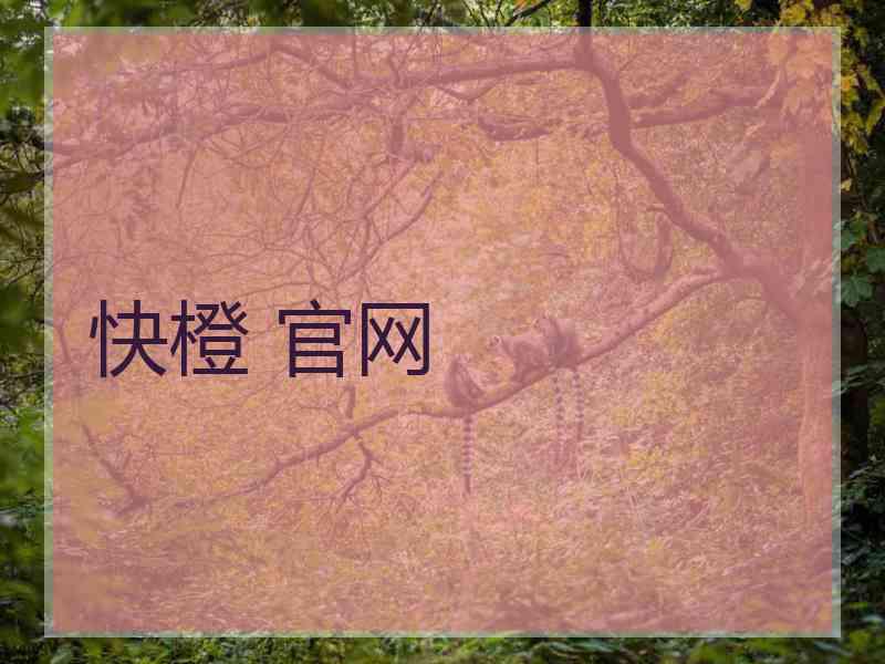 快橙 官网