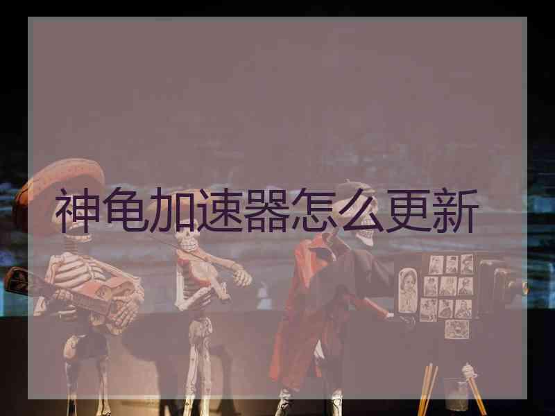 神龟加速器怎么更新
