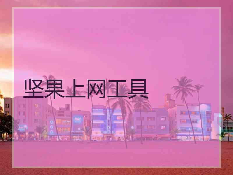 坚果上网工具
