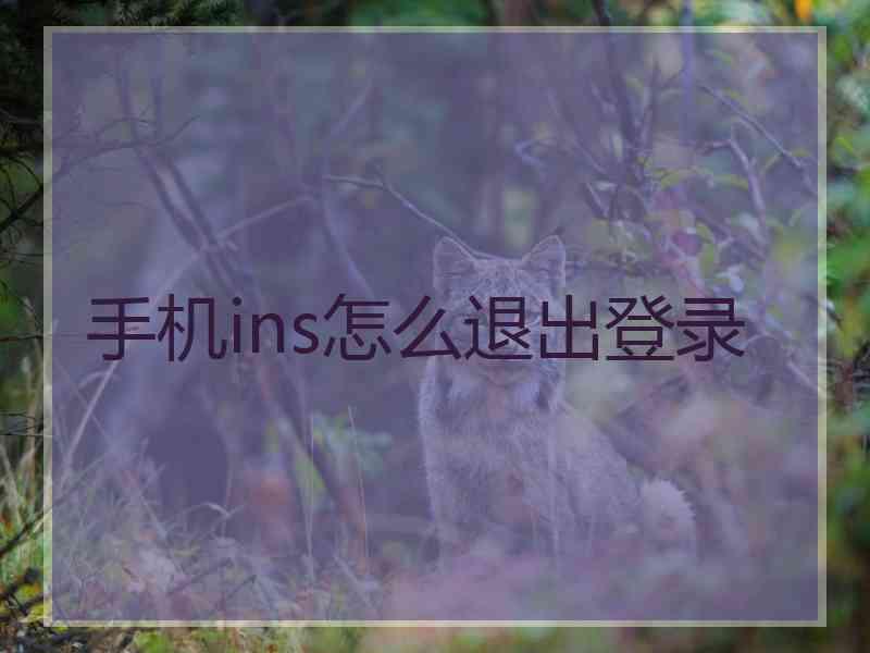 手机ins怎么退出登录