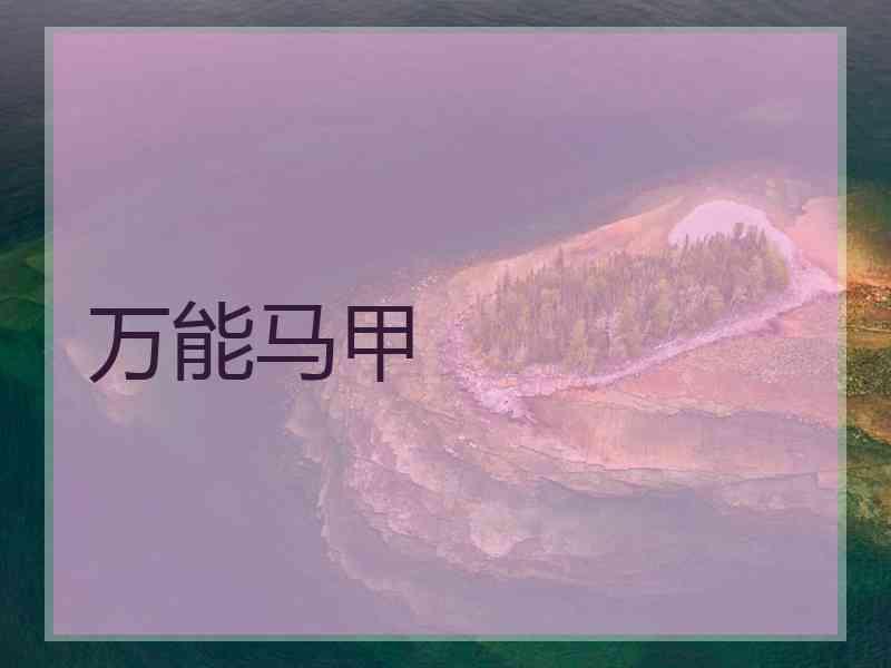 万能马甲