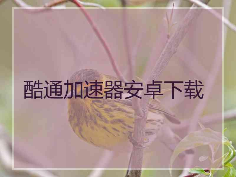 酷通加速器安卓下载