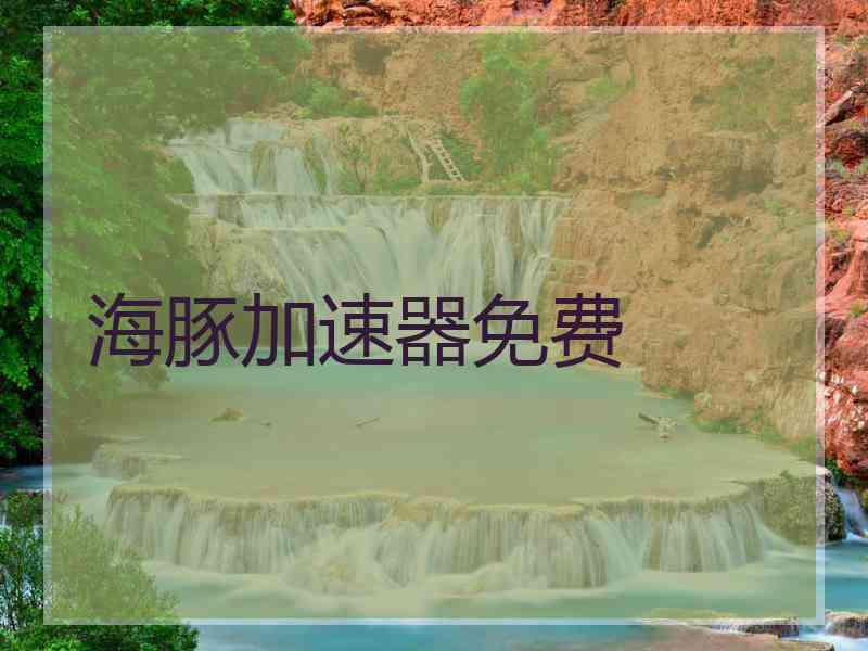 海豚加速器免费