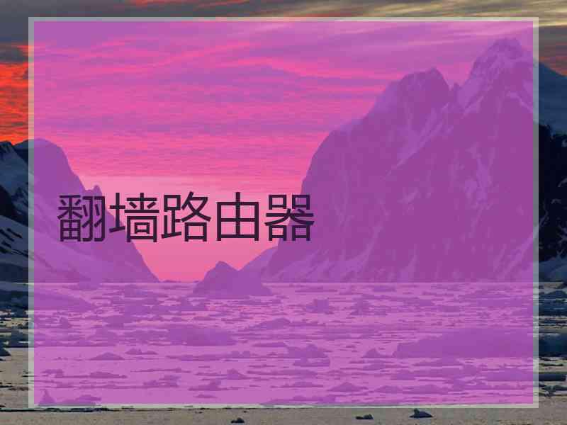 翻墙路由器