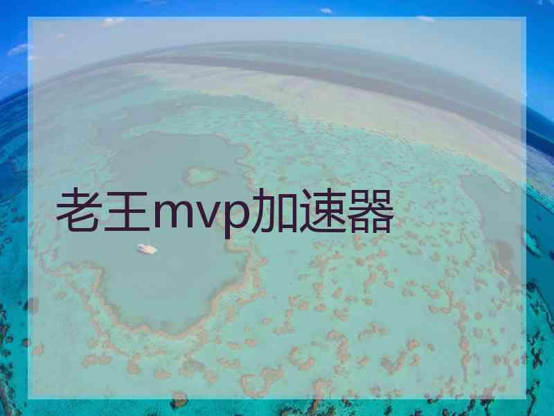 老王mvp加速器