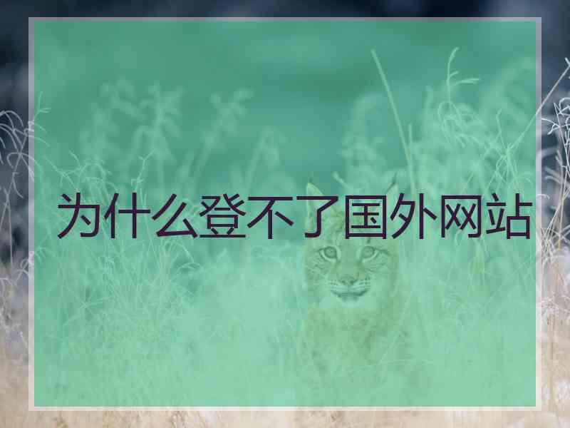 为什么登不了国外网站