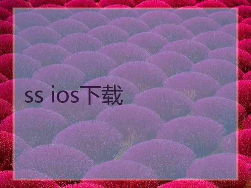 ss ios下载