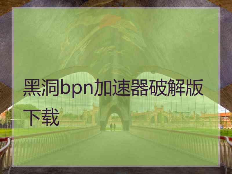 黑洞bpn加速器破解版下载