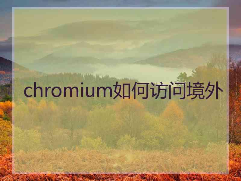 chromium如何访问境外