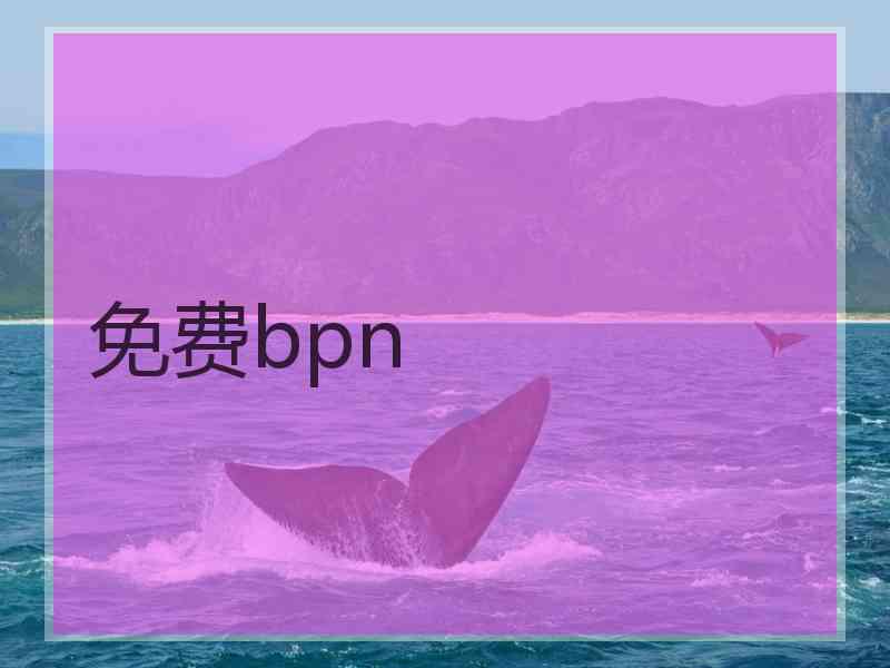 免费bpn