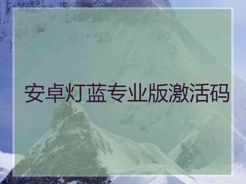 安卓灯蓝专业版激活码