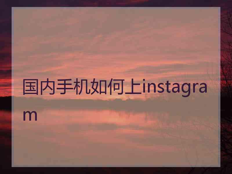 国内手机如何上instagram