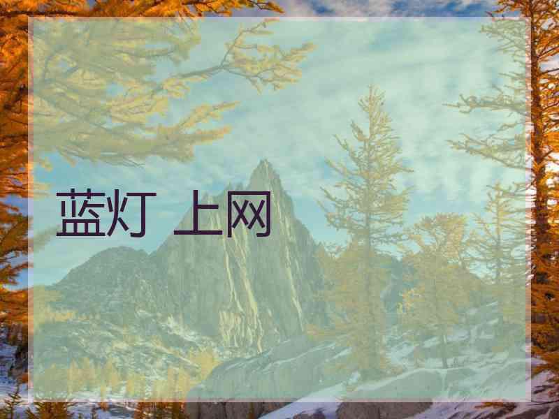 蓝灯 上网