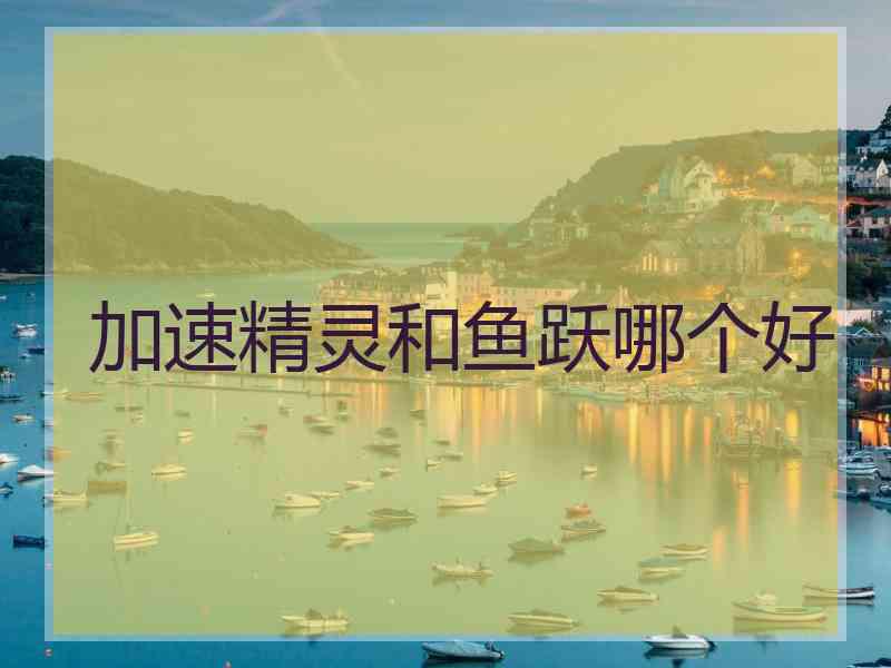加速精灵和鱼跃哪个好