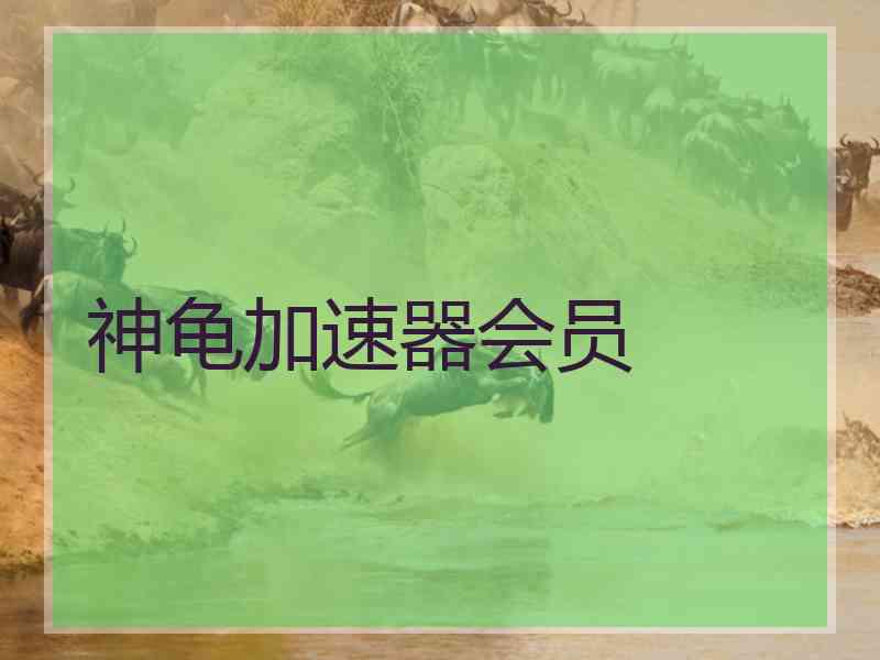 神龟加速器会员