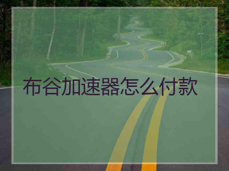 布谷加速器怎么付款