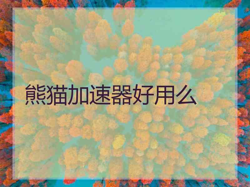 熊猫加速器好用么