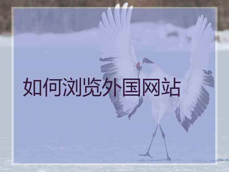 如何浏览外国网站