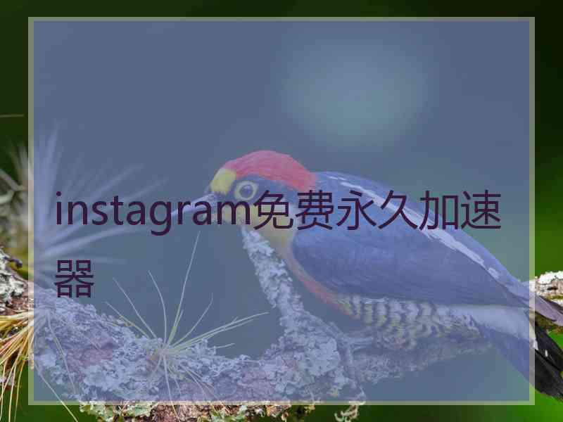 instagram免费永久加速器
