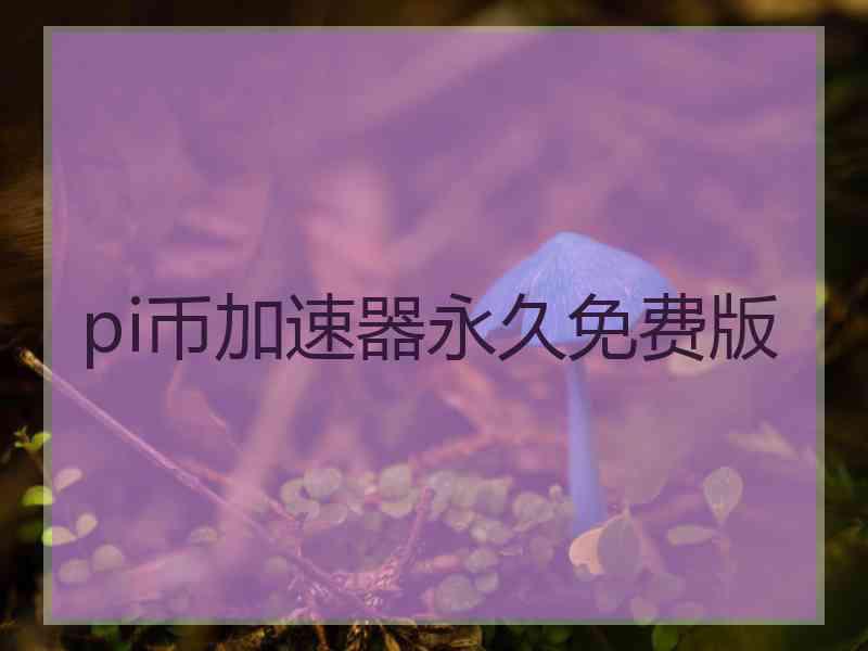 pi币加速器永久免费版