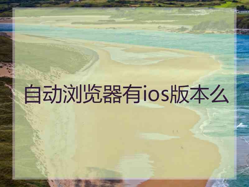 自动浏览器有ios版本么