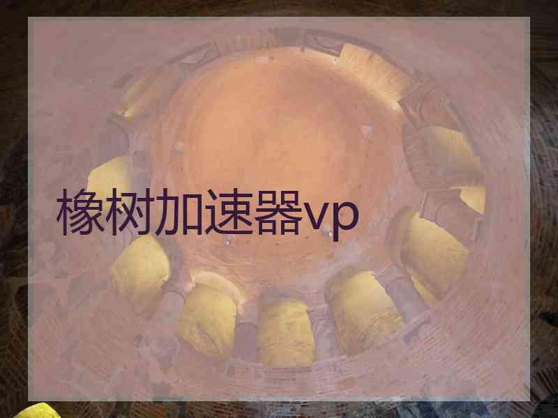 橡树加速器vp